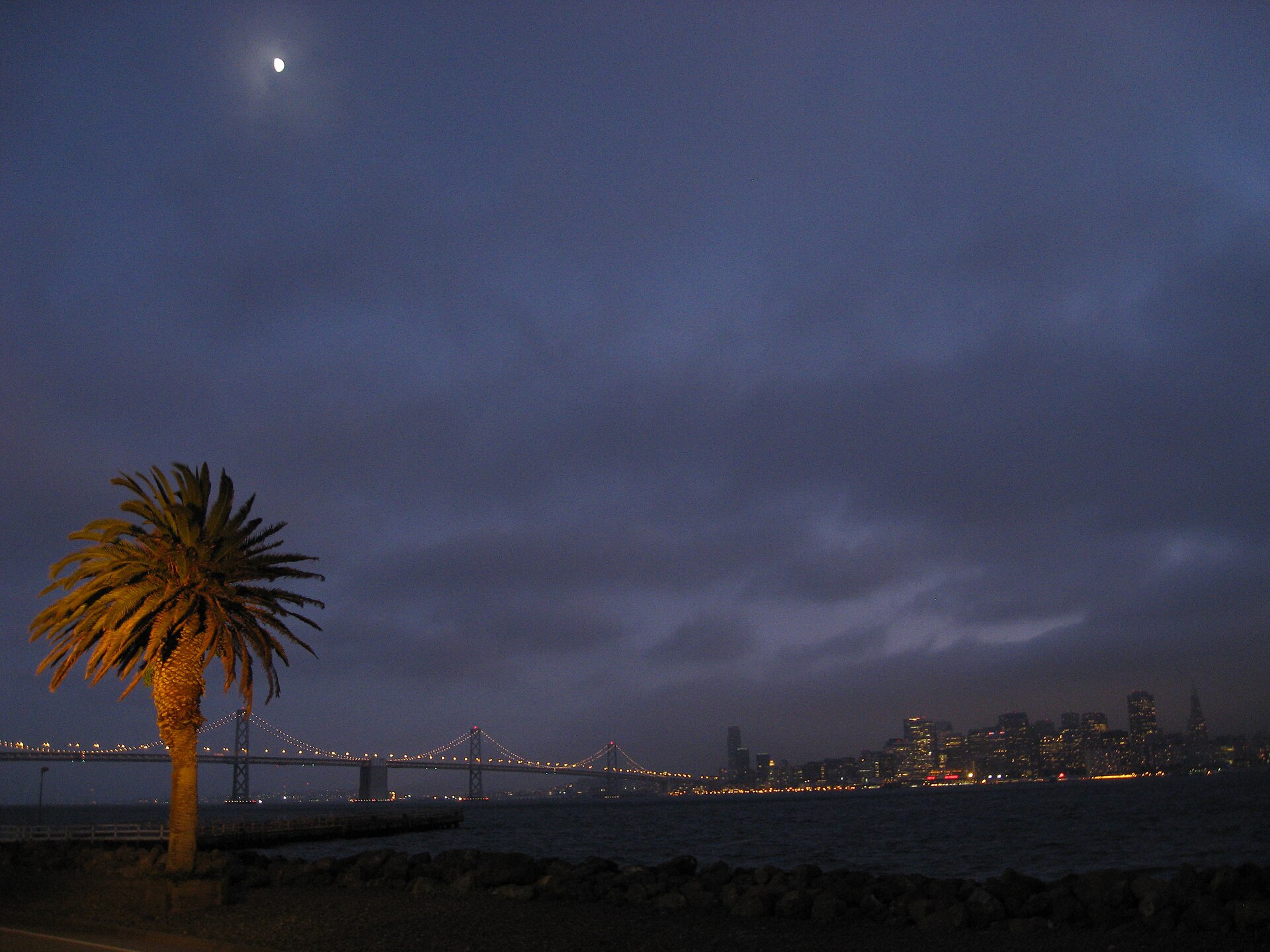 San Francisco at night, seen across the bay, with the Bay Bridge lit up and a palm tree in the foreground